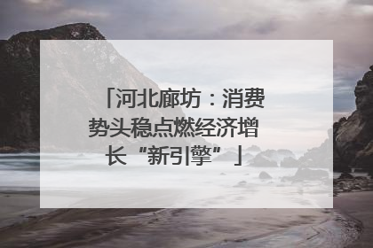 河北廊坊：消费势头稳点燃经济增长“新引擎”