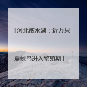 河北衡水湖：近万只夏候鸟进入繁殖期