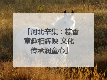河北辛集：粽香童趣相辉映 文化传承润童心
