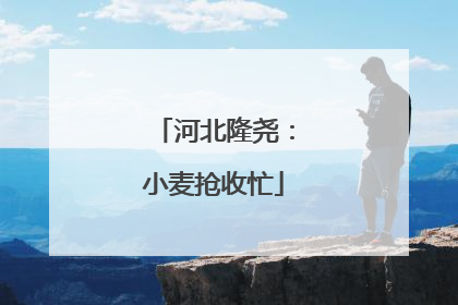 河北隆尧：小麦抢收忙
