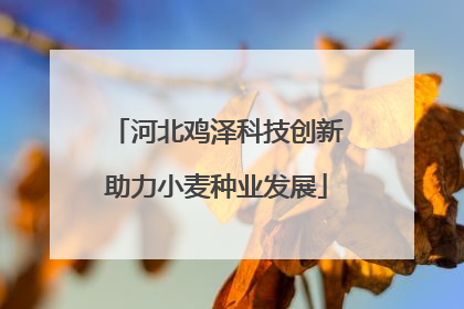 河北鸡泽科技创新助力小麦种业发展