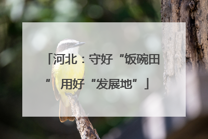 河北：守好“饭碗田” 用好“发展地”