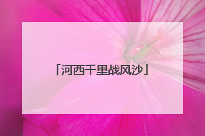 河西千里战风沙