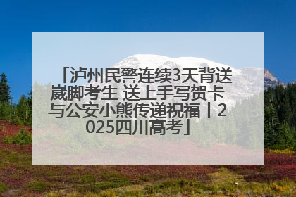 泸州民警连续3天背送崴脚考生 送上手写贺卡与公安小熊传递祝福丨2025四川高考