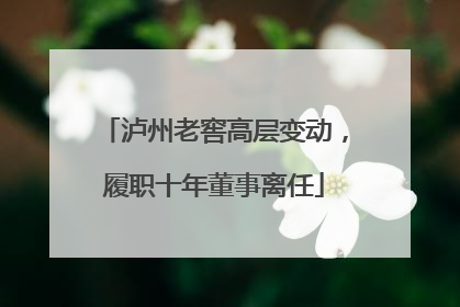 泸州老窖高层变动，履职十年董事离任