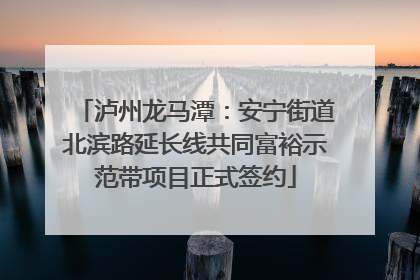 泸州龙马潭：安宁街道北滨路延长线共同富裕示范带项目正式签约