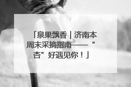 泉果飘香｜济南本周末采摘指南——“杏”好遇见你！
