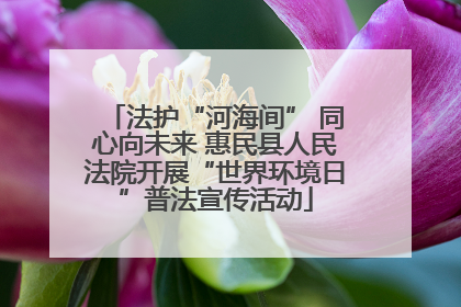 法护“河海间” 同心向未来 惠民县人民法院开展“世界环境日”普法宣传活动