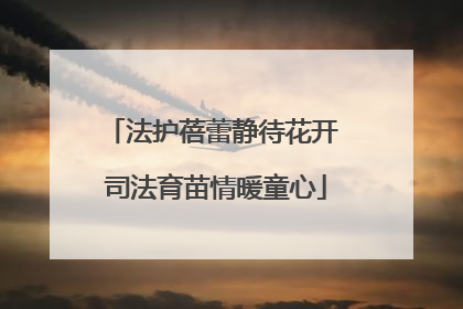 法护蓓蕾静待花开 司法育苗情暖童心