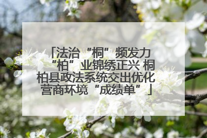 法治“桐”频发力 “柏”业锦绣正兴 桐柏县政法系统交出优化营商环境“成绩单”