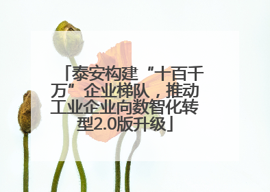 泰安构建“十百千万”企业梯队，推动工业企业向数智化转型2.0版升级