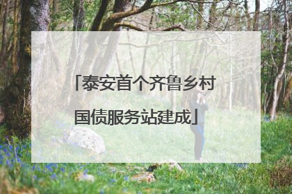 泰安首个齐鲁乡村国债服务站建成
