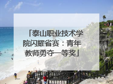 泰山职业技术学院闪耀省赛：青年教师勇夺一等奖