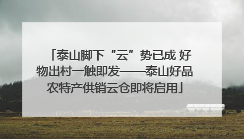 泰山脚下“云”势已成 好物出村一触即发——泰山好品农特产供销云仓即将启用
