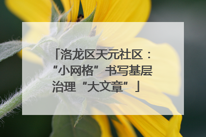 洛龙区天元社区：“小网格”书写基层治理“大文章”