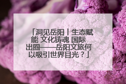 洞见岳阳丨生态赋能 文化铸魂 国际出圈——岳阳文旅何以吸引世界目光？