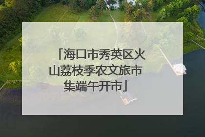 海口市秀英区火山荔枝季农文旅市集端午开市