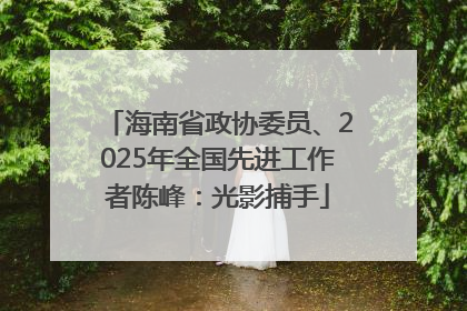 海南省政协委员、2025年全国先进工作者陈峰：光影捕手