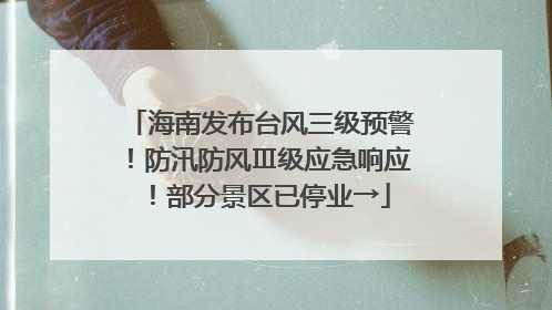 海南发布台风三级预警！防汛防风Ⅲ级应急响应！部分景区已停业→