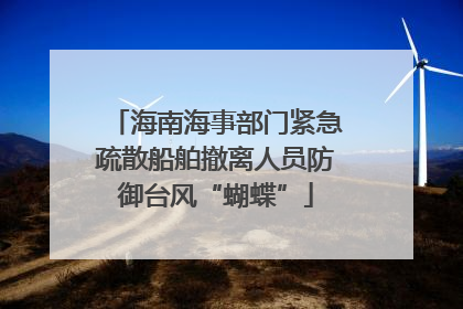 海南海事部门紧急疏散船舶撤离人员防御台风“蝴蝶”