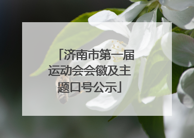 济南市第一届运动会会徽及主题口号公示