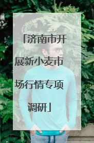 济南市开展新小麦市场行情专项调研