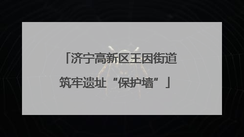 济宁高新区王因街道筑牢遗址“保护墙”
