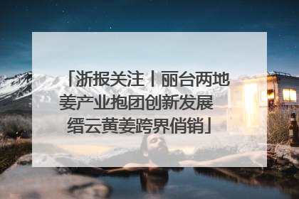 浙报关注丨丽台两地姜产业抱团创新发展 缙云黄姜跨界俏销