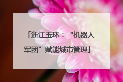 浙江玉环：“机器人军团”赋能城市管理