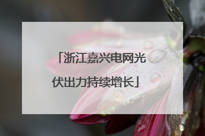 浙江嘉兴电网光伏出力持续增长