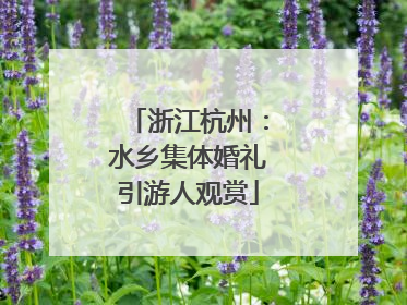 浙江杭州：水乡集体婚礼引游人观赏