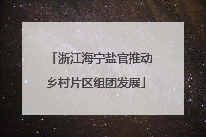 浙江海宁盐官推动乡村片区组团发展