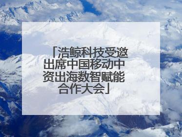 浩鲸科技受邀出席中国移动中资出海数智赋能合作大会