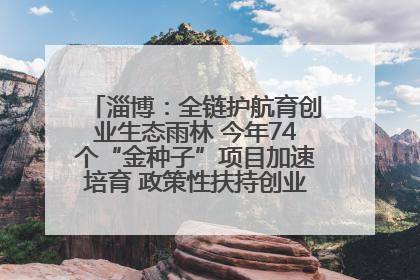 淄博：全链护航育创业生态雨林 今年74个“金种子”项目加速培育 政策性扶持创业9754人