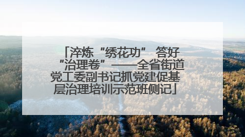 淬炼“绣花功” 答好“治理卷”——全省街道党工委副书记抓党建促基层治理培训示范班侧记