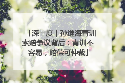 深一度｜孙继海青训索赔争议背后：青训不容易，赔偿可仲裁