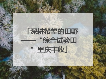 深耕希望的田野——“综合试验田”里庆丰收