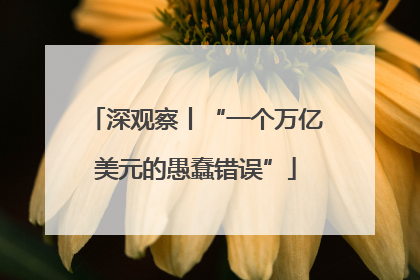 深观察丨“一个万亿美元的愚蠢错误”
