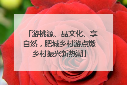 游桃源、品文化、享自然，肥城乡村游点燃乡村振兴新热潮