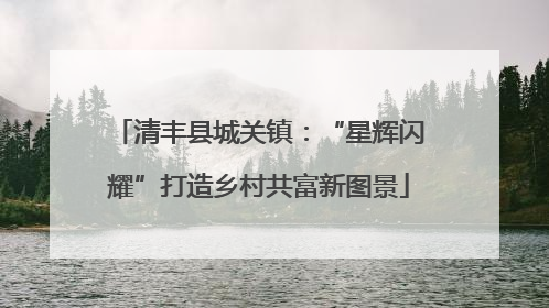 清丰县城关镇：“星辉闪耀”打造乡村共富新图景