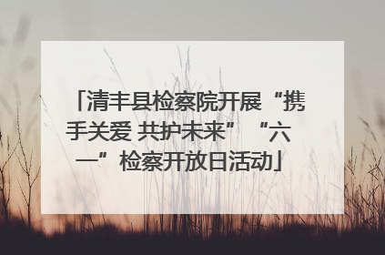 清丰县检察院开展“携手关爱 共护未来”“六一”检察开放日活动
