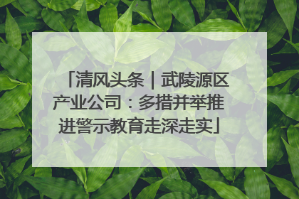 清风头条｜武陵源区产业公司：多措并举推进警示教育走深走实