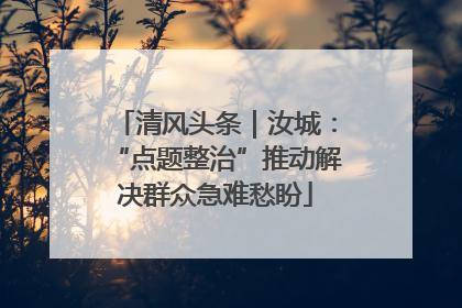 清风头条｜汝城：“点题整治”推动解决群众急难愁盼