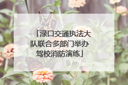 渌口交通执法大队联合多部门举办驾校消防演练