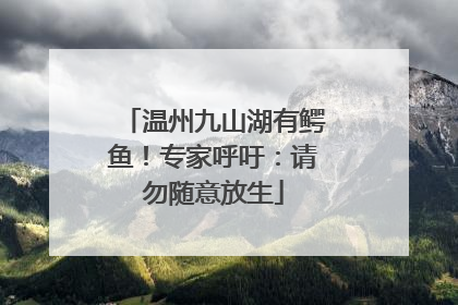 温州九山湖有鳄鱼！专家呼吁：请勿随意放生