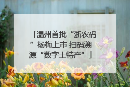 温州首批“浙农码”杨梅上市 扫码溯源“数字土特产”