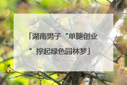 湖南男子“单腿创业”撑起绿色园林梦