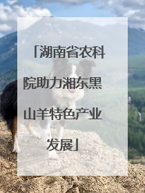 湖南省农科院助力湘东黑山羊特色产业发展