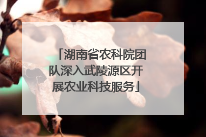 湖南省农科院团队深入武陵源区开展农业科技服务