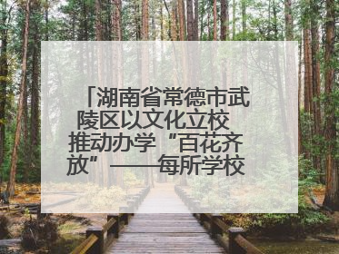 湖南省常德市武陵区以文化立校 推动办学“百花齐放”——每所学校都“精彩”